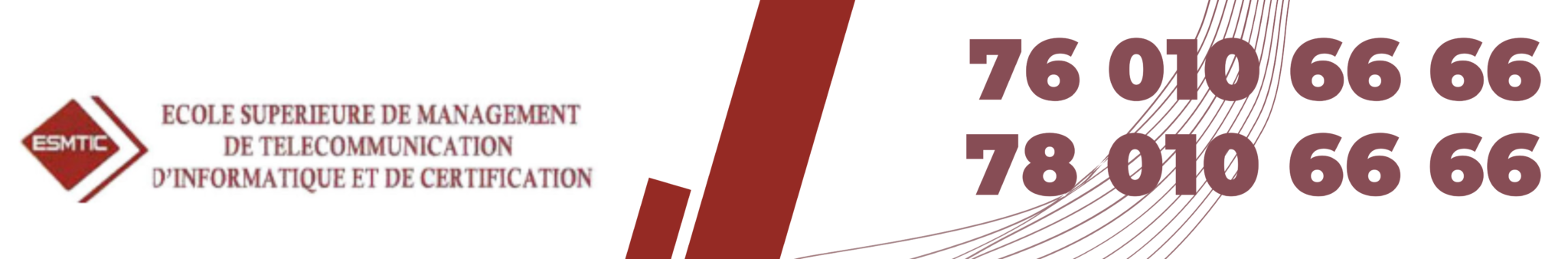 Ecole Sup&eacute;rieure de Management, de T&eacute;l&eacute;communications et de certification