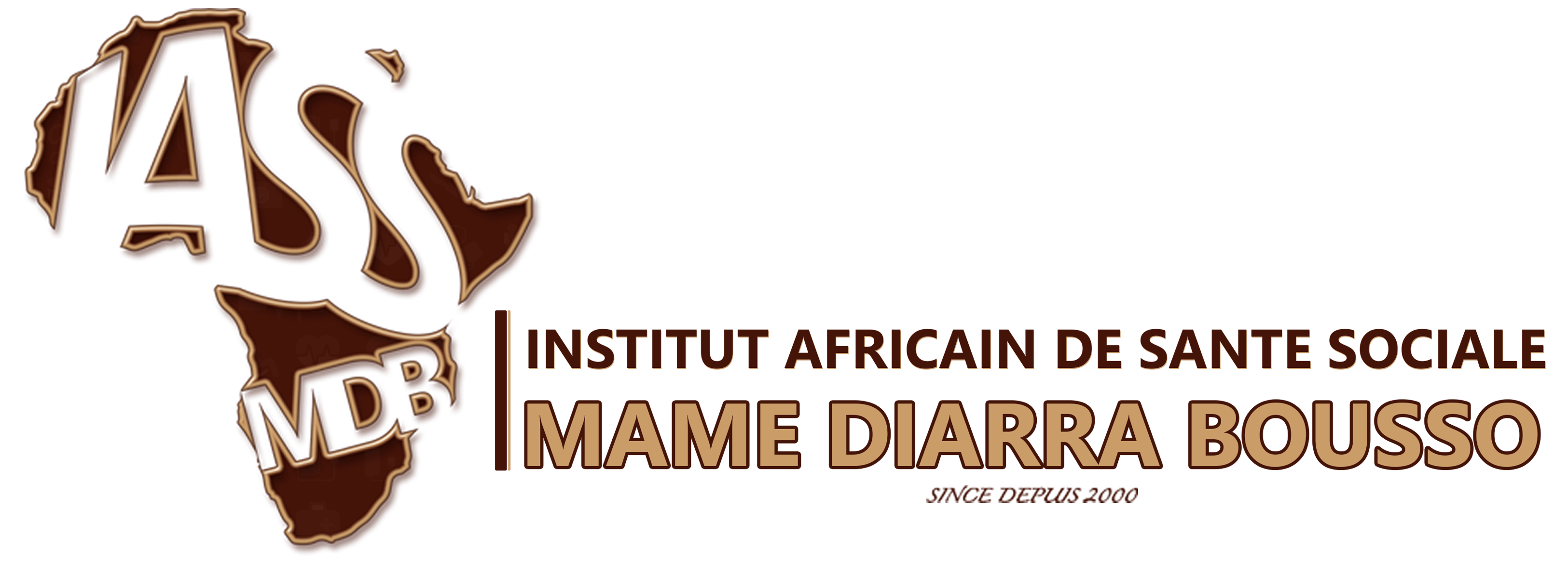 Institut Africain des Sciences de la Sant&eacute; Mame Diarra Bousso