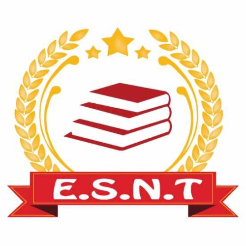 Ecole Sup&eacute;rieure des Nouvelles Technologies